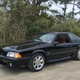 Nice Price or No Dice 1993 Ford Mustang GT
